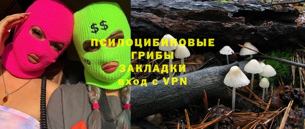 мяу мяу мука Абаза
